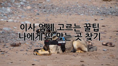 🚚💨 이사 업체 고르는 꿀팁! 나에게 딱 맞는 곳 찾기