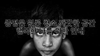 증평읍 원룸 청소: 깨끗한 공간, 행복한 나를 위한 안내
